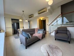 Shelford 23 (D11), Apartment #554541471